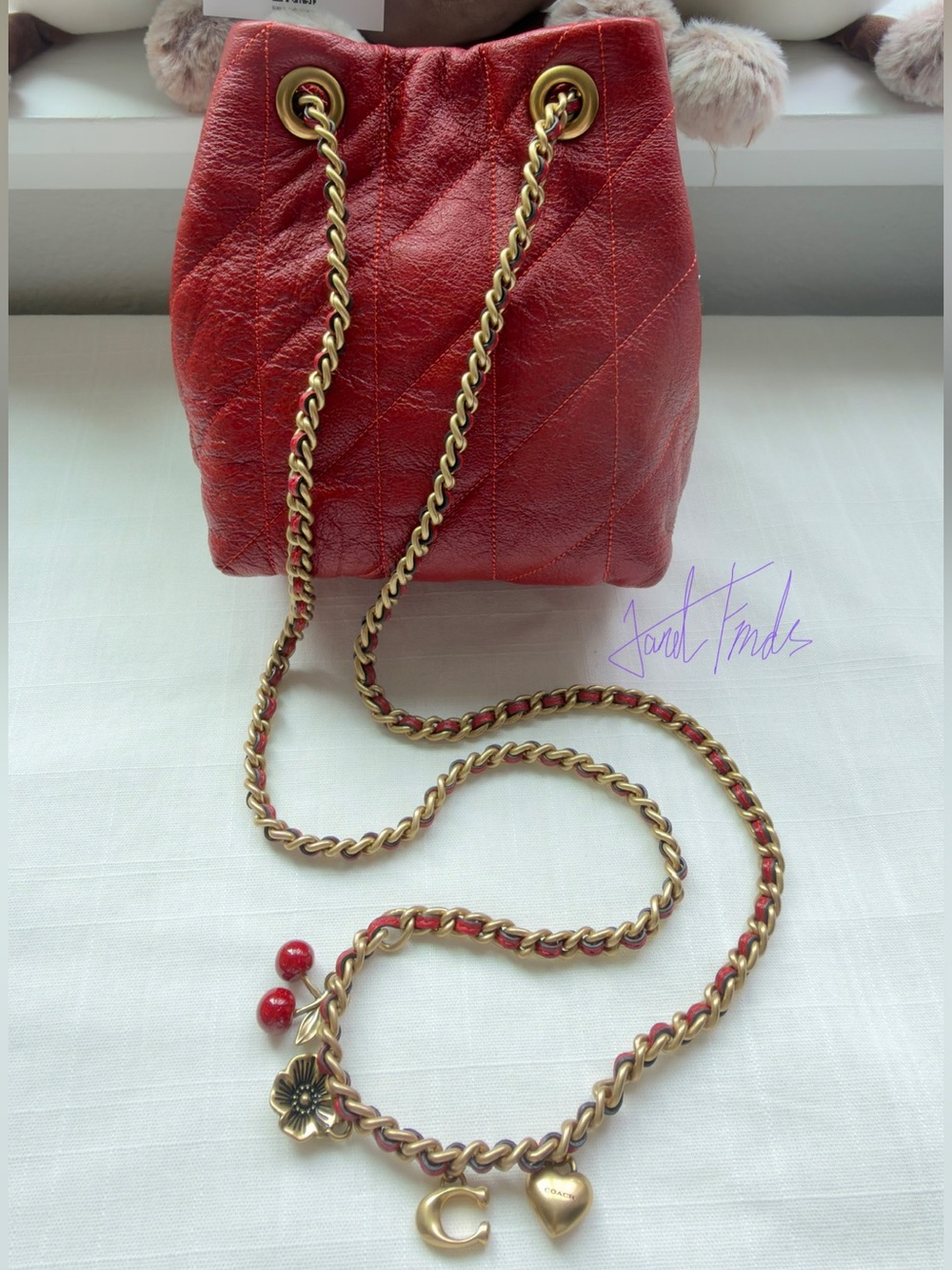 NWT 🍒 Coach Poppy Jade Drawstring Bag With Quilting